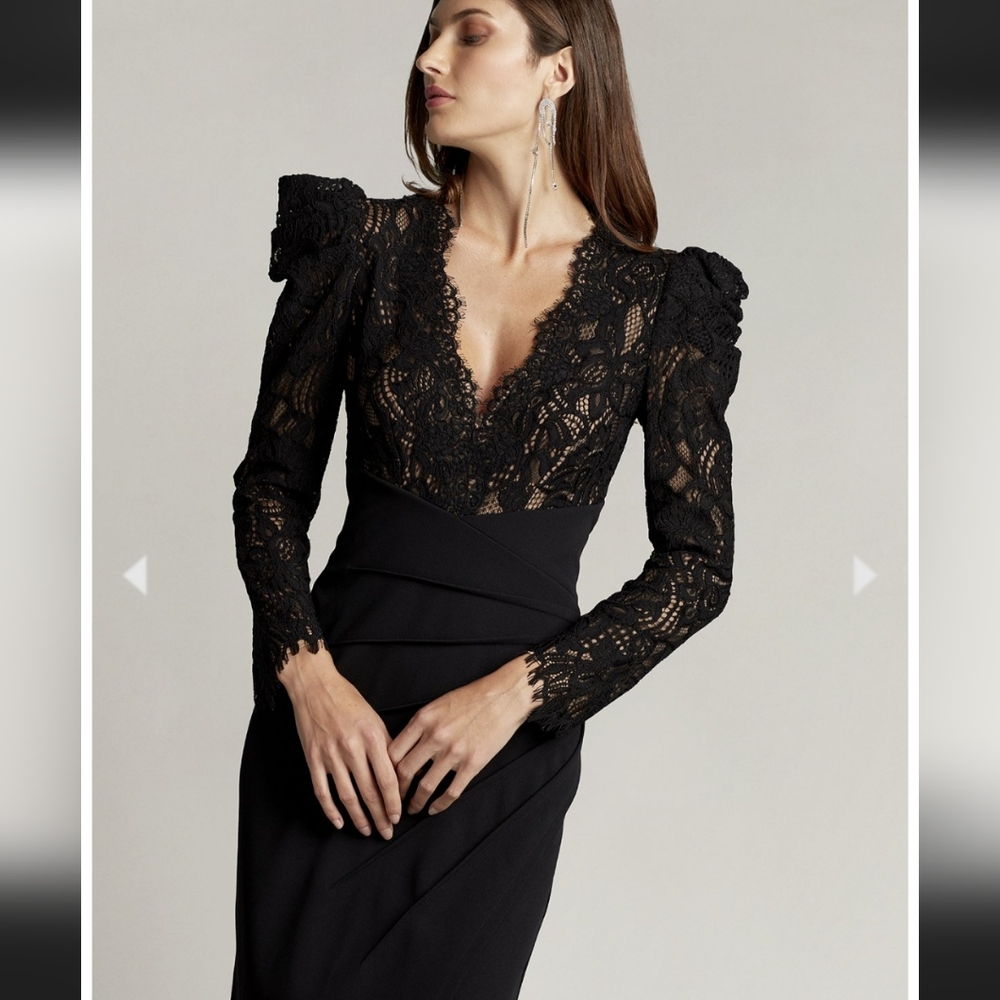 Tadashi Shoji Marshal Crepe & Lace Gown (NWT)